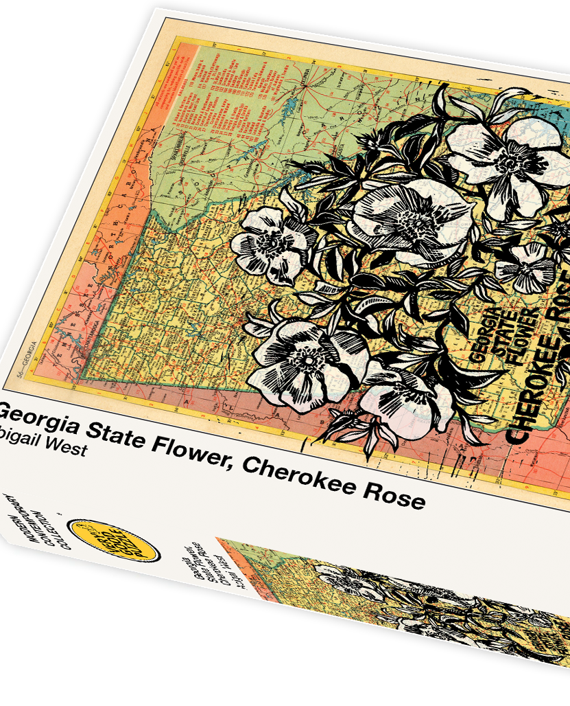 cherokee rose seeds Georgia State Flower, Cherokee Rose by Abigail West
