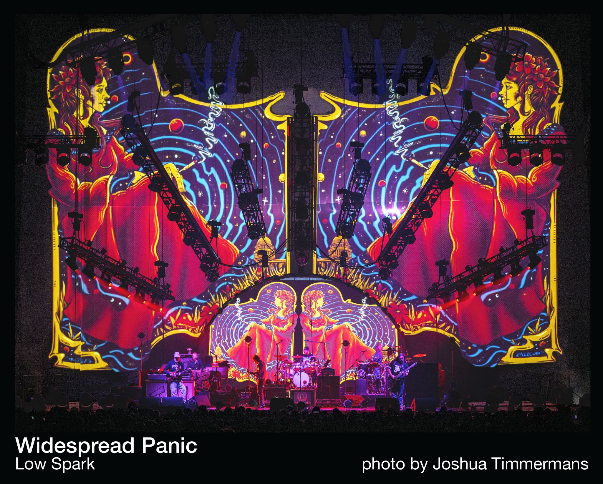 widespread005500-C_2048x.png?v