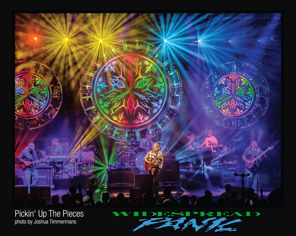 VERY GOOD PUZZLE:Pickin' Up The Pieces from Widespread Panic - 1000 piece jigsaw puzzle